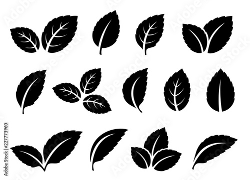 black mint leaves set icons on white