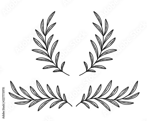 hand drawn olive branches and wreath on white