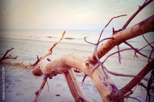 Grußkarte - Strandurlaub - ...