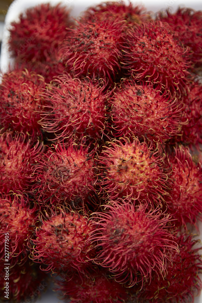 Frucht rot Rambutan exotisch Vitamine Stacheln Frucht rot Rambutan exotisch Vitamine Stacheln