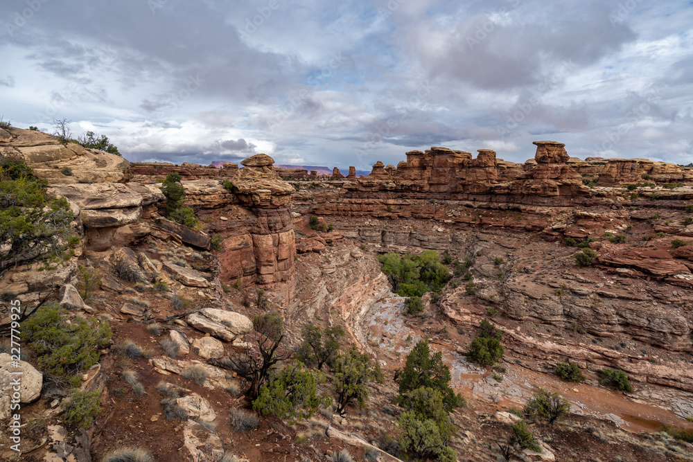 View of Big Spring Canyon, Needle District, Canyonlands National Park, Utah