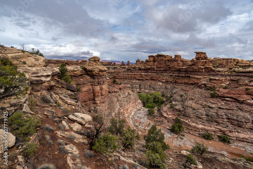 View of Big Spring Canyon, Needle District, Canyonlands National Park, Utah