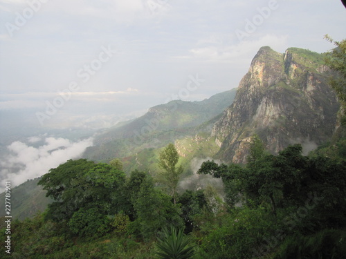 Usambara Mountains Tansania  photo