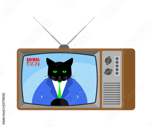 Animal news old tv. Pet Live broadcasting. Cat broadcasting journalist. Beast Anchorman in tv studio.