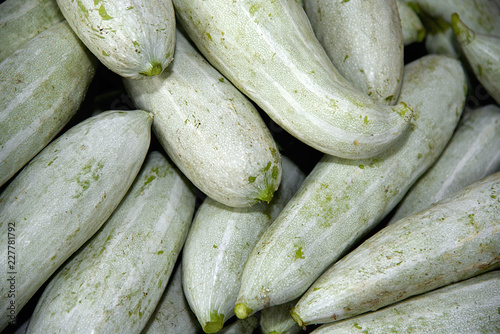 Snake gourds photo