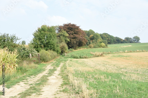 wandelpad in het heuvelachtige landschap van Zuid-Limburg