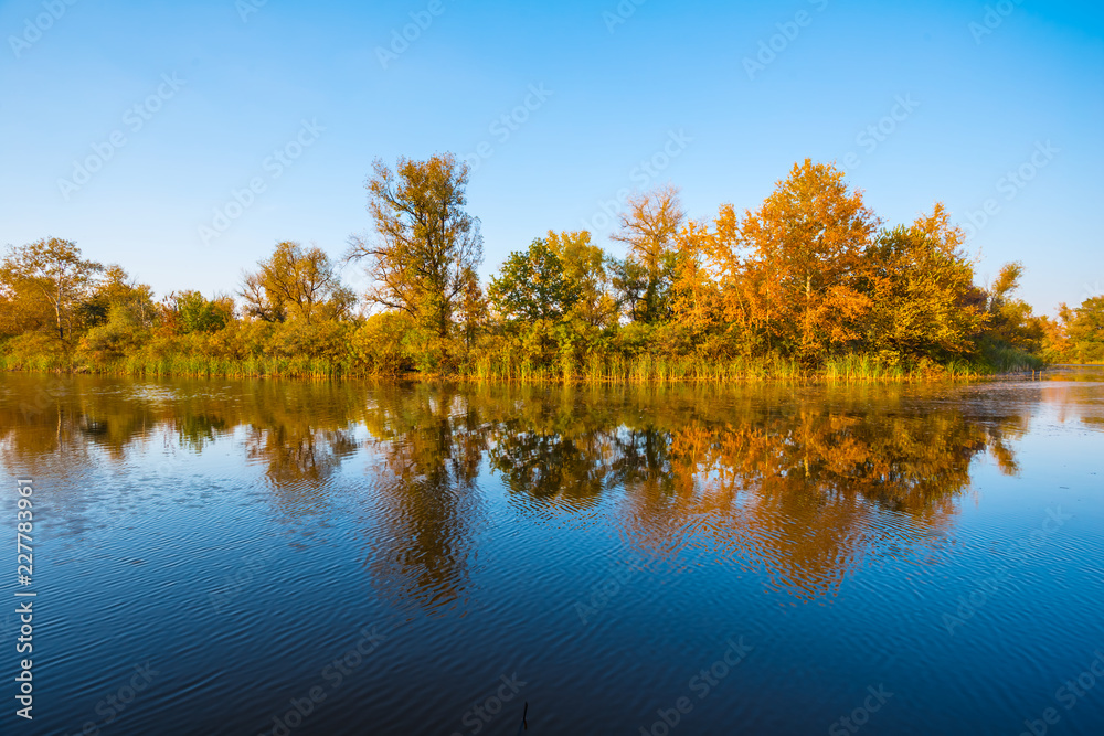 autumn landscape, quiet lake and red forest autumn landscape, quiet lake and red forest