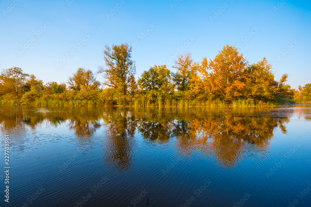 autumn landscape, quiet lake and red forest