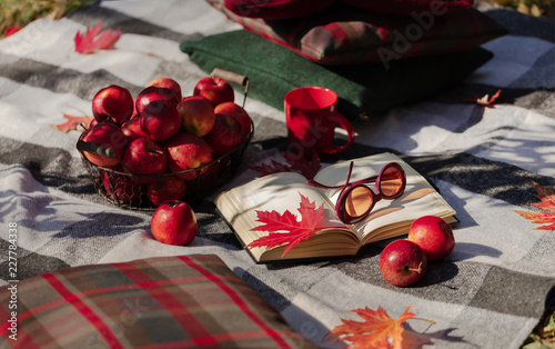 Autumn warm days. Indian summer. Picnic in the garden - blanket and pillows of gray, burgundy and green color on the background of autumn leaves.