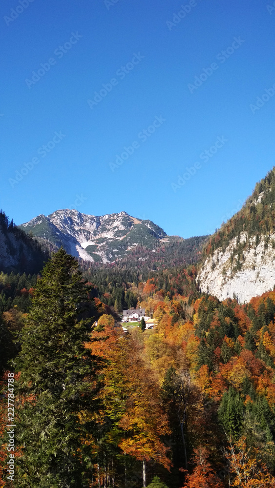 europe park landscape alps mountains blue sy background spring forest white snow stock photo