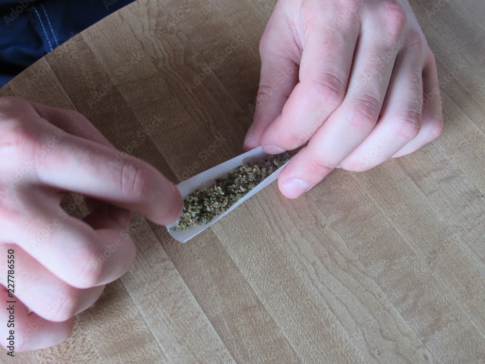 Fototapeta premium A man rolling a marijuana joint on a wooden table 