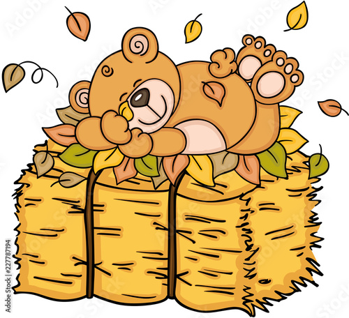 Teddy bear sleeping with autumn leaves on hay
