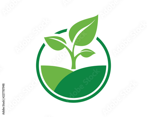 Vector Circle Green Leaf Growing Plant Modern Agriculture Sign Symbol Icon Logo Design Inspiration