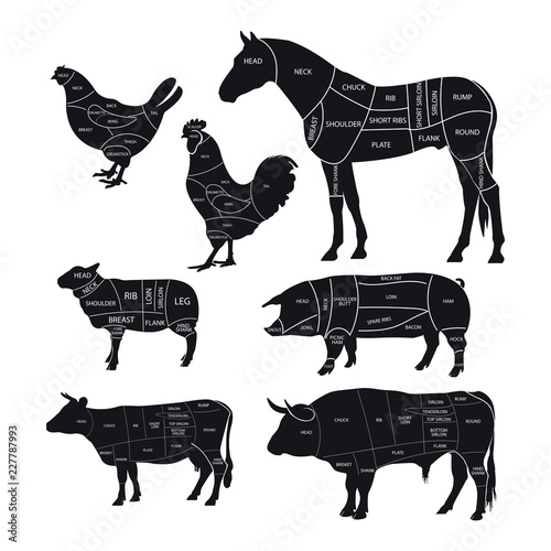 Monochrome diagram guide for cutting meat. Animal silhouettes with cut lines. Beef, horse meat, lamb, pork and chicken. Vector illustration.