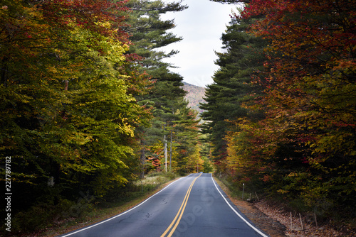 Fall foliage road in New England photo