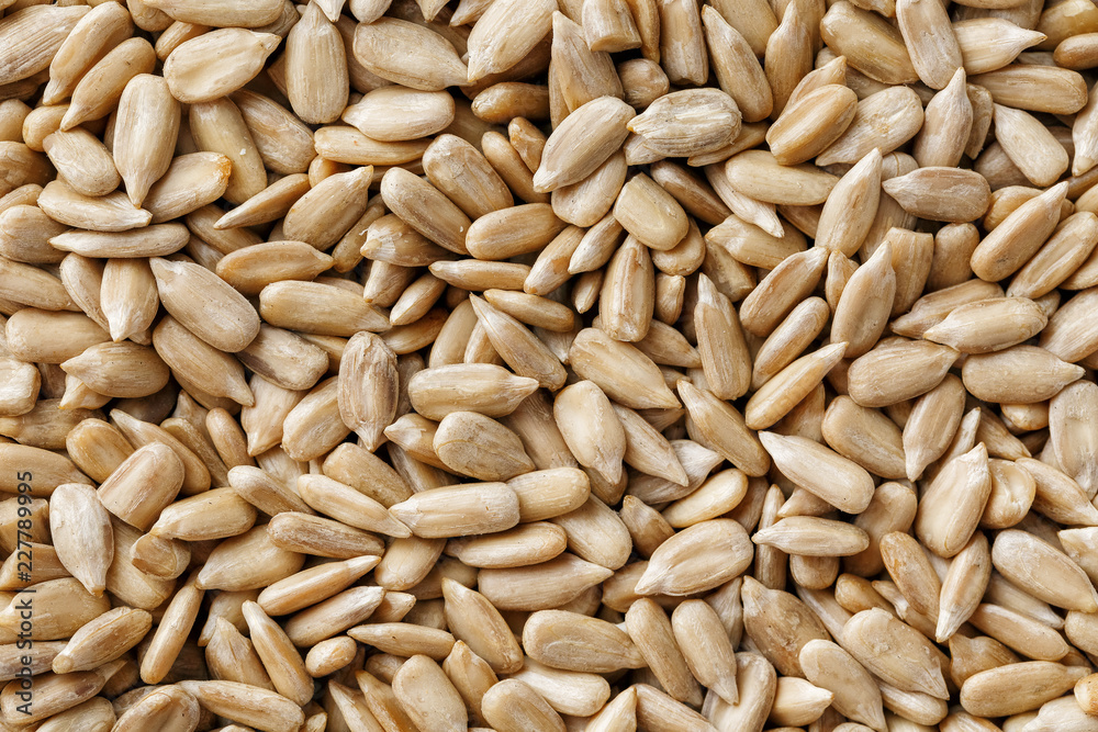 Sunflower seeds background. Macro seed, Organic vegan food. Sunflower seeds background. Macro seed, Organic vegan food.