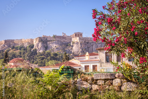 Ancient Greek ruins with flowers overlooking the Acropolis, Athens, Greece