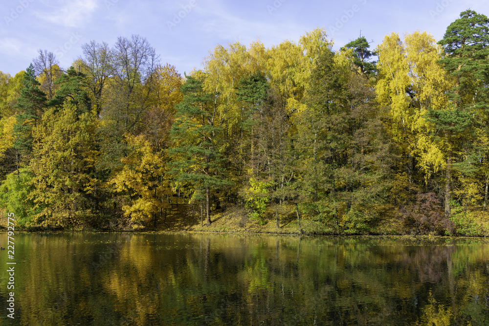Autumn, forest on the background of the pond