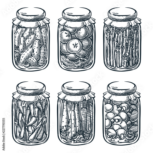 Pickled vegetables, mushrooms in glass jar, vector sketch illustration. Home made preserves hand drawn design elements