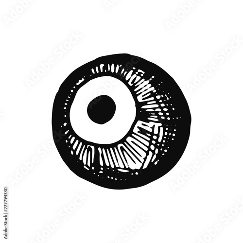 eyeball sketch icon. isolated object