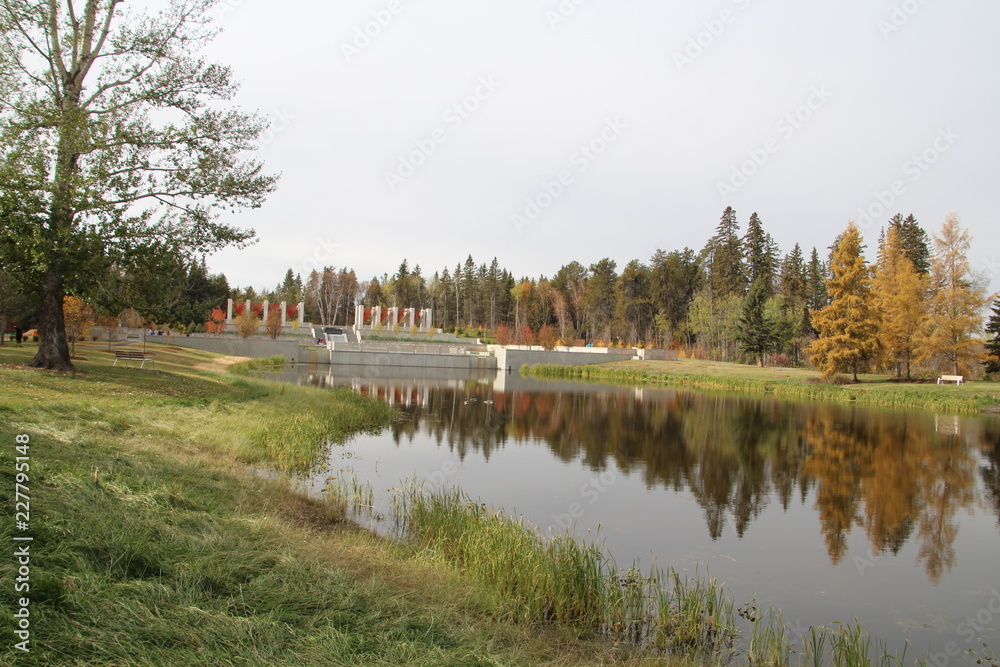 The Calla Pond, U of A Botanic Gardens, Alberta