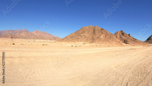desert background landscape