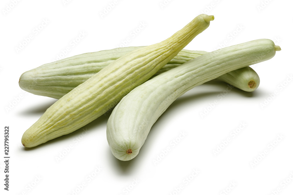 Armenian cucumber Armenian cucumber