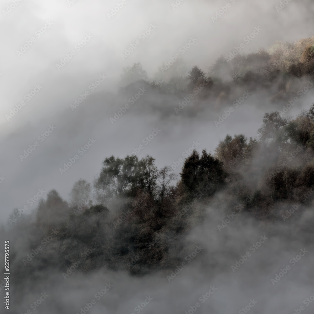 Nebbia in valle, Val Masino, Italia