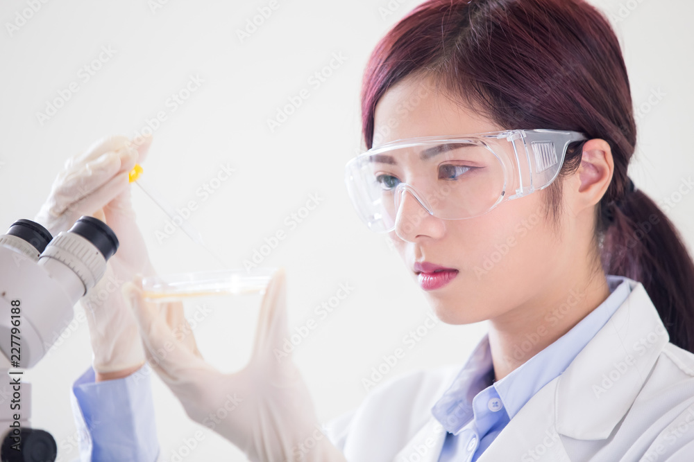 woman scientist take petri dish woman scientist take petri dish