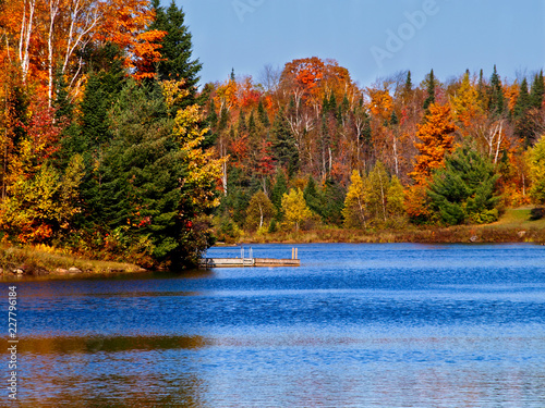 autumn landscape with lake and trees © Johanne