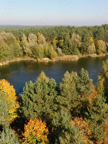  Beautiful photo of forest, lake autumn colors of trees, blue sky.