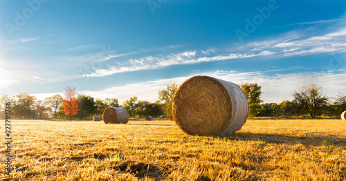 Hay bale in a farm field
