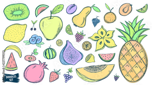 Fruits doodles set. Tropical fruit. Summer. Berry. Scribble collection. Retro sketches. Grape. Blueberry. Carambola. Watermelon. Pineapple. Strawberry. Figs. Kiwi. Melon. Citrus. Smoothie.
