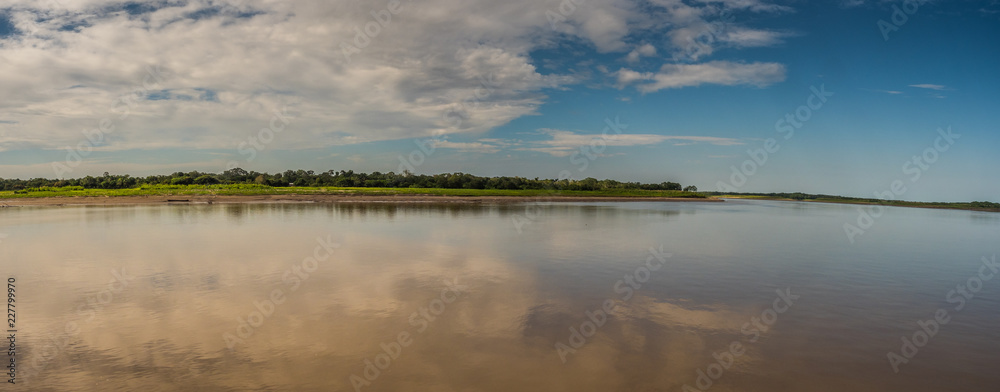 Panoramic view for the Amazon