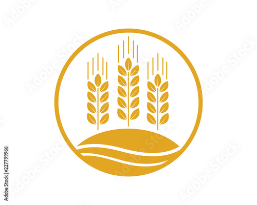 Vector Circle Growing Plant Agriculture wheat Grain Sign Symbol Icon Logo Template Design Inspiration