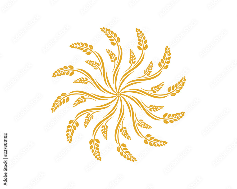 Vector Circle Growing Plant Agriculture wheat Grain Sign Symbol Icon Logo Template Design Inspiration