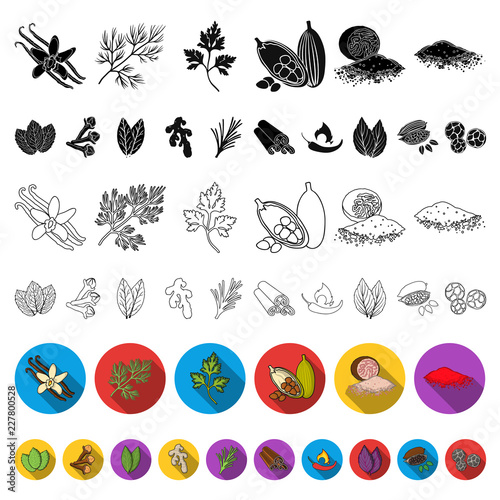 Herb and spices flat icons in set collection for design.Different kinds of seasonings vector symbol stock web illustration.