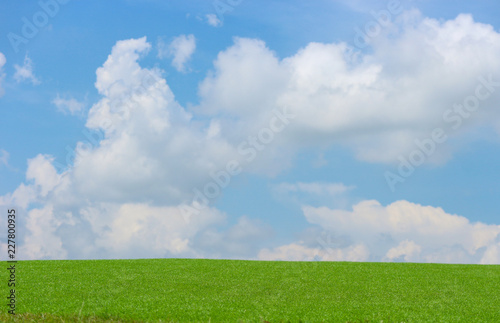 Natural view of green grass land with cloud blue sky as background.