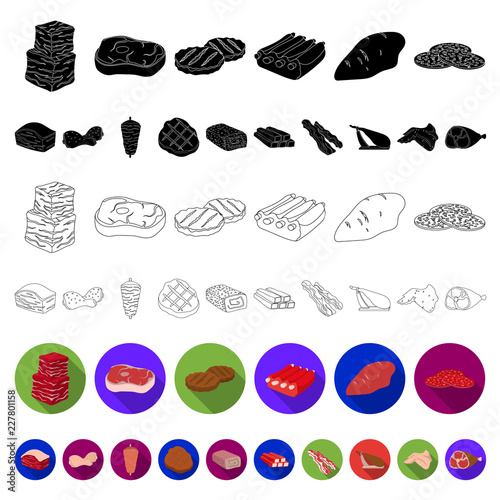 Different meat flat icons in set collection for design. Meat product vector symbol stock web illustration.