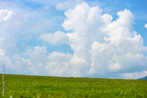 Natural view of green grass land with cloud blue sky as background.