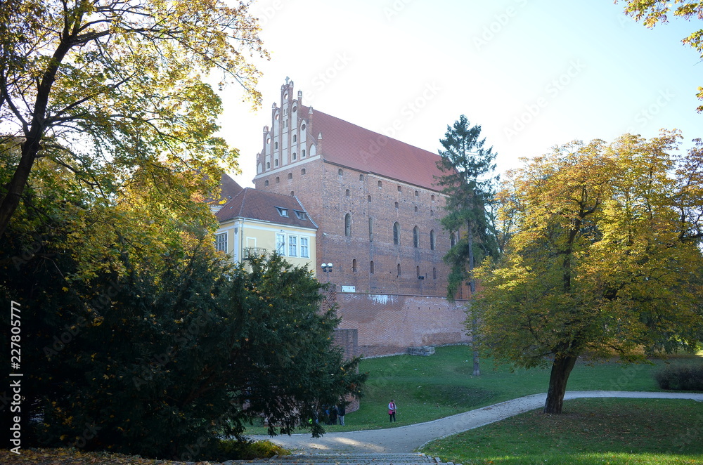 Obraz premium Zamek w Olsztynie