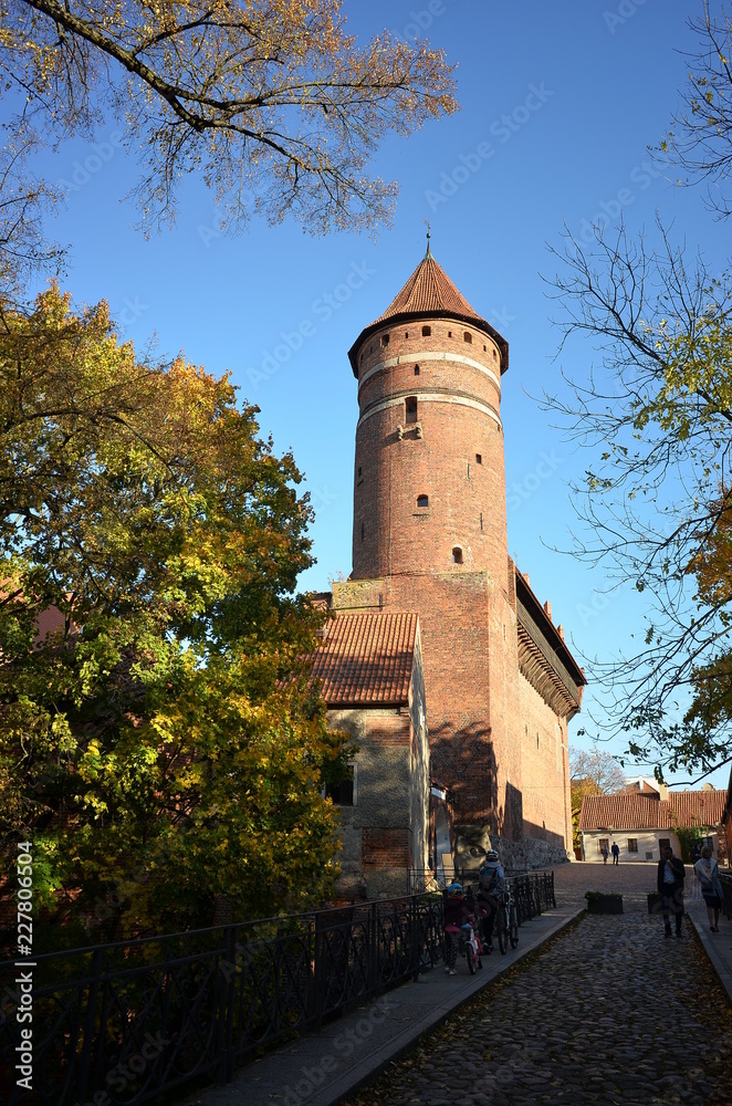 Fototapeta premium Zamek w Olsztynie