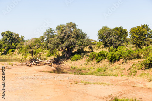 A mostly dry riverbed in the Kruger park, South Africa.
