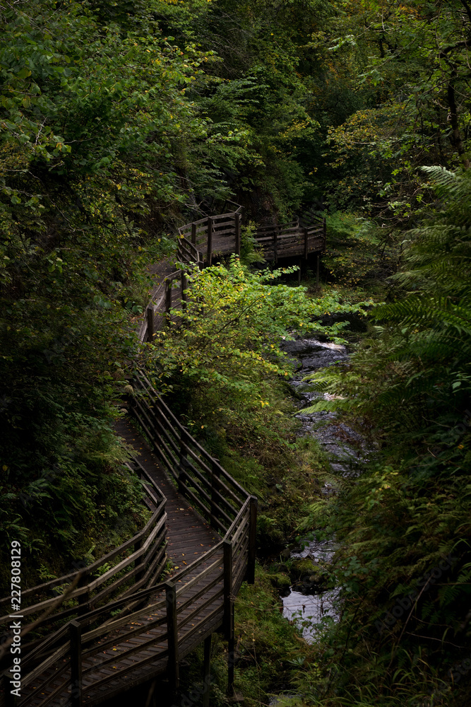 Waterfall Trail Glenariff Forest Park, Northern Ireland.