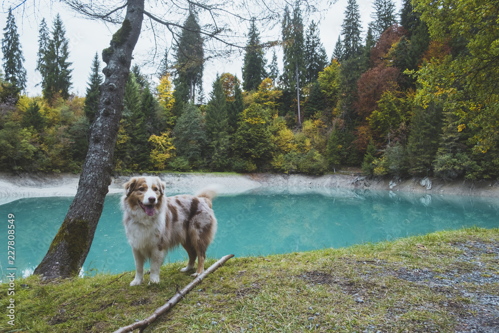 Bergsee in der Schweiz