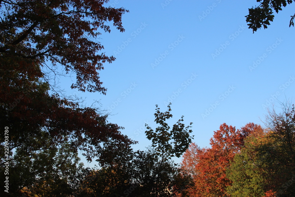 Obraz premium Herbstwetter