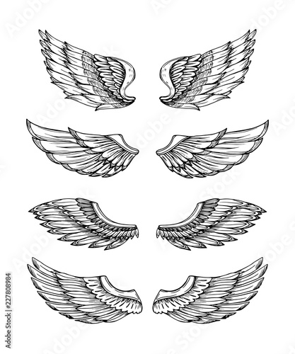 Angel wings. Abstract black winged design. Eagle bird wing hand drawn isolated set. Feather bird wings, gothic tattoo illustration wing