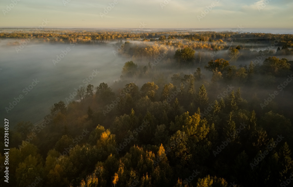 Obraz premium Fog above the forest and meadows