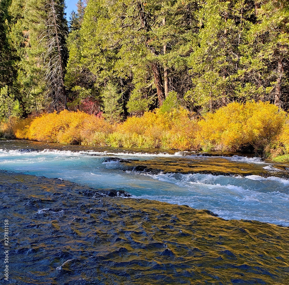 Stunning fall colors on the riverbanks of the turquoise waters of the Metolius River at Wizard Falls in Central Oregon on a sunny autumn morning. Stunning fall colors on the riverbanks of the turquoise waters of the Metolius River at Wizard Falls in Central Oregon on a sunny autumn morning.