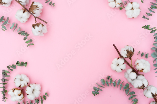Cotton flowers buds with eucaliptus fall frame on pink background with copy space